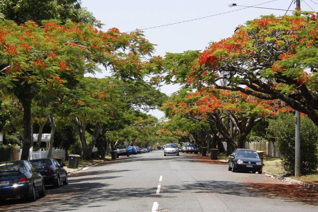 Apartamento Art Deco In Ascot! ~ 2 Bed / 1 Bath / 1 Car Brisbane Exterior foto